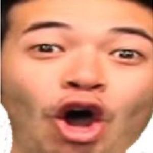 Meet your Posher, Owen